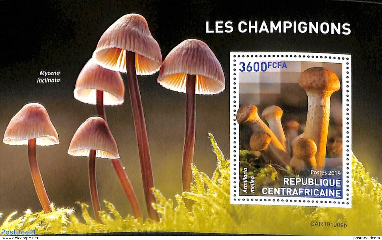 Central Africa 2019 Mushrooms S/s, Mint NH, Nature - Mushrooms - Funghi