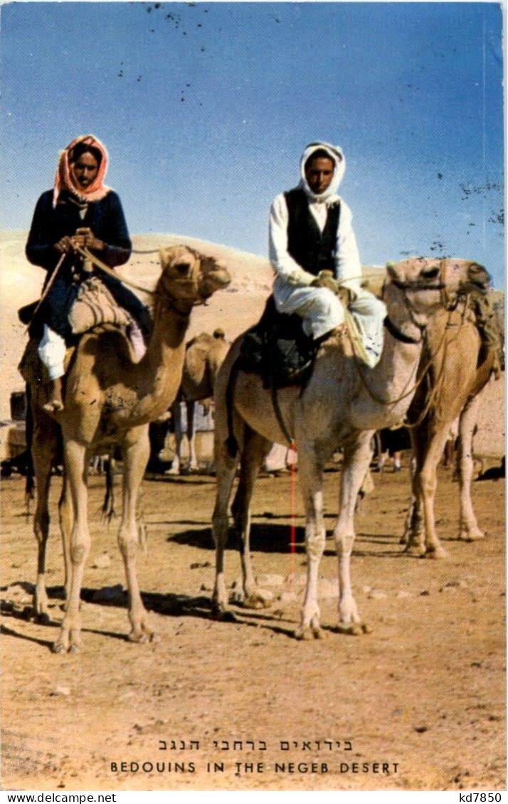 Bedouins In The Negeb Desert - Israele