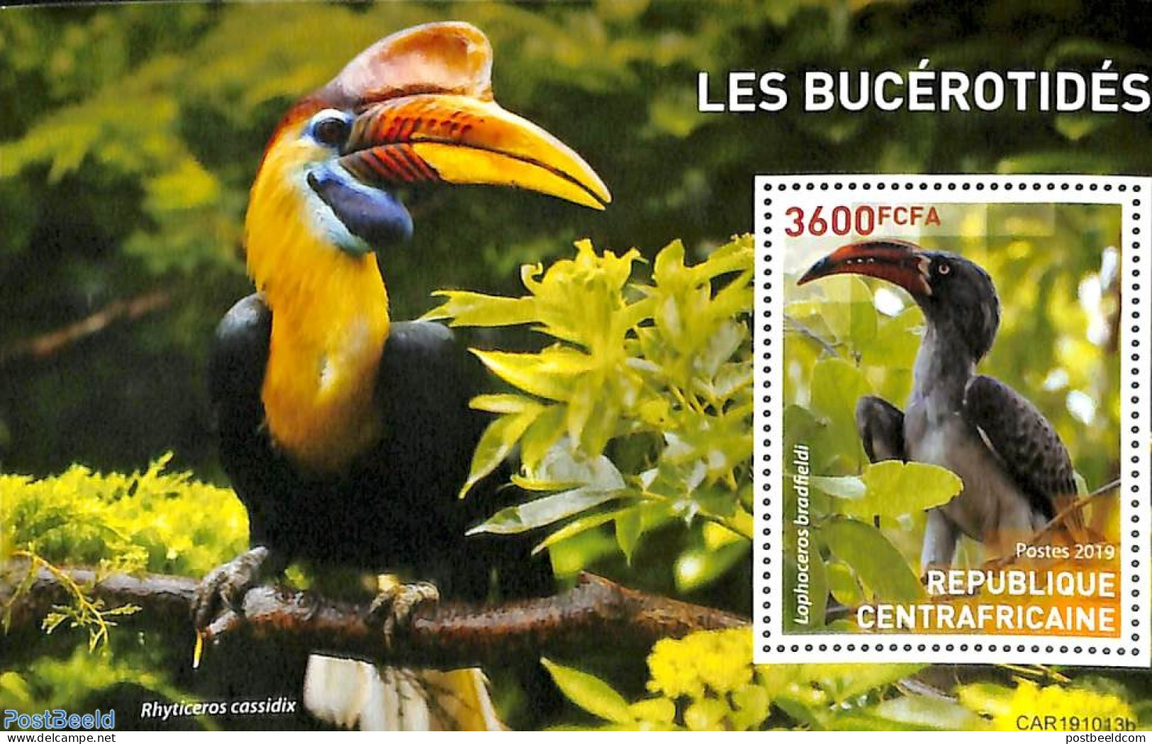 Central Africa 2019 Hornbill S/s, Mint NH, Nature - Birds - República Centroafricana