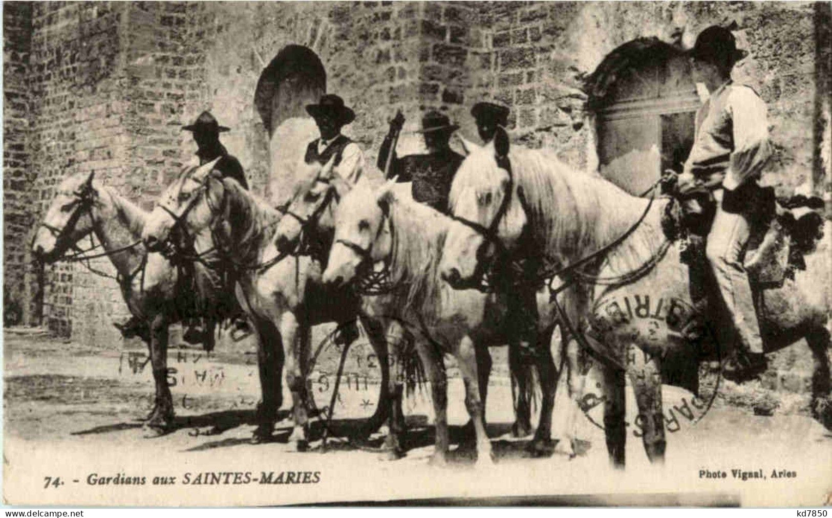 Pferde - Gardians Aux Saintes Maries - Chevaux