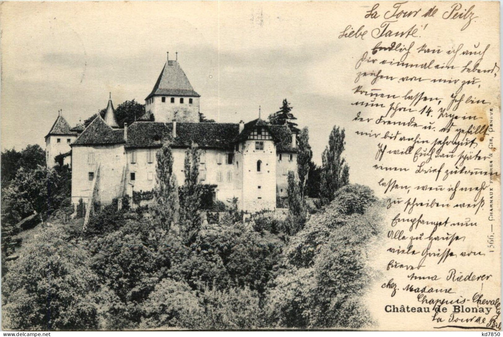 Chateau De Blonay - Blonay - Saint-Légier