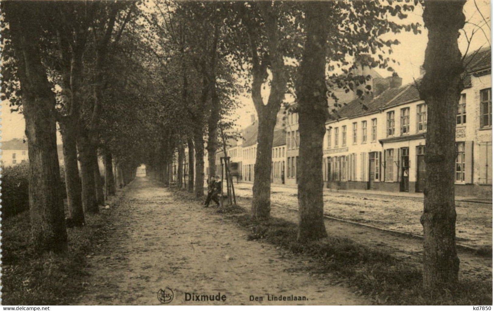 Dixmude - Den Lindenlaan - Diksmuide