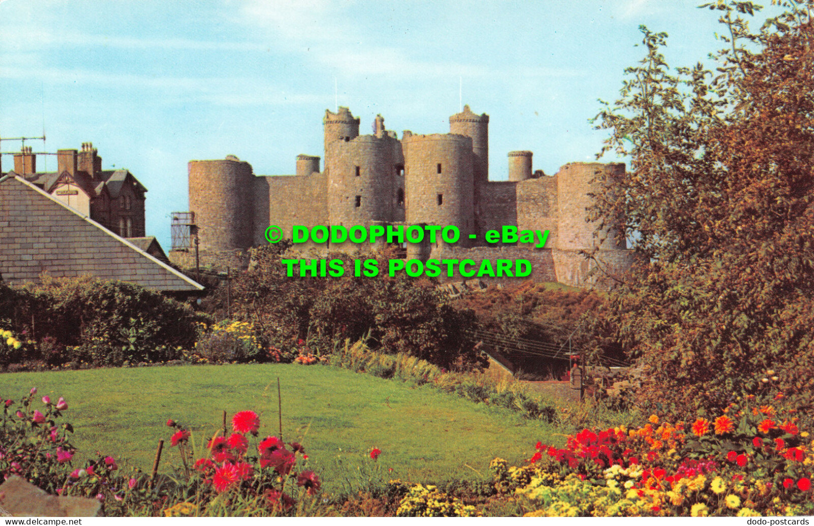 R520331 The Castle. Harlech. PT25127 - Mondo