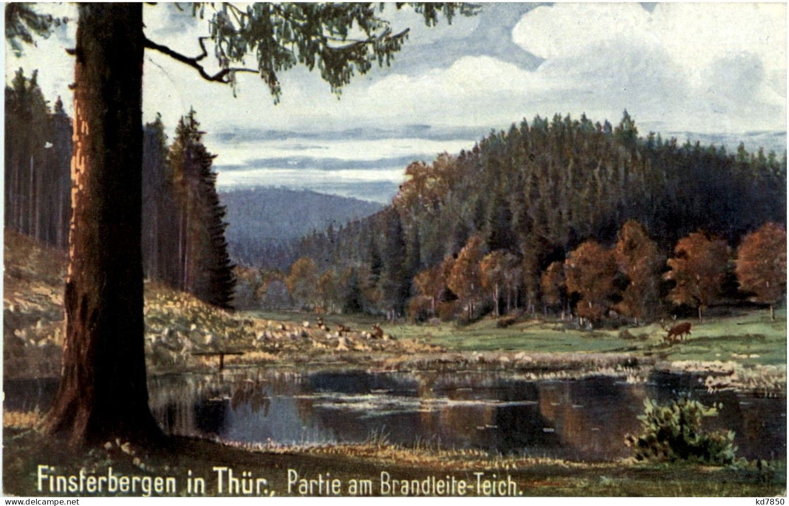 Finsterbergen - Partie Am Brandleite Teich - Friedrichroda