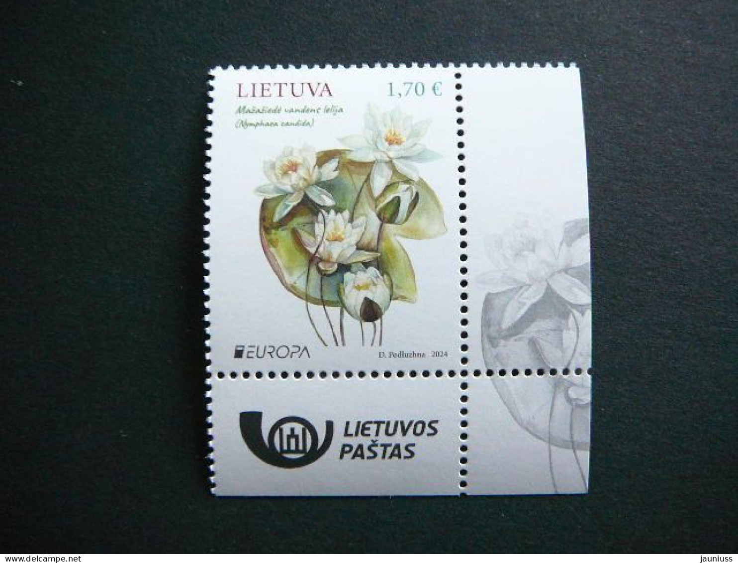 Europa CEPT. Water Lily # Lietuva Litauen Lituanie Litouwen Lithuania # 2024 MNH #4 - Litauen