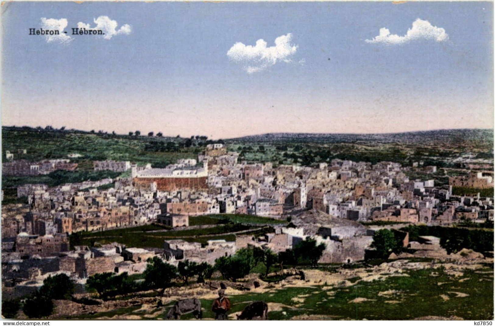 Hebron - Palestine