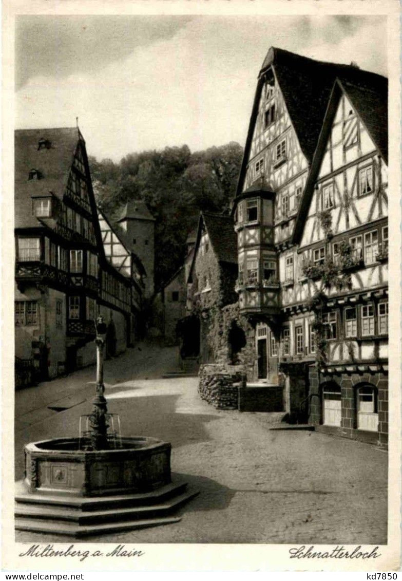 Miltenberg Am Main - Schnatterloch - Miltenberg A. Main