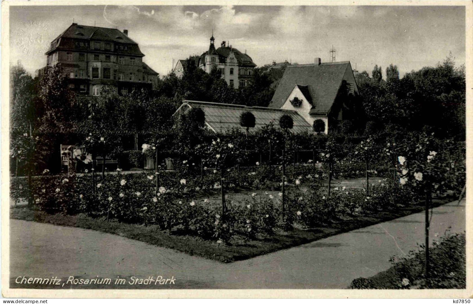 Chemnitz - Rosarium Im Stadtpark - Chemnitz