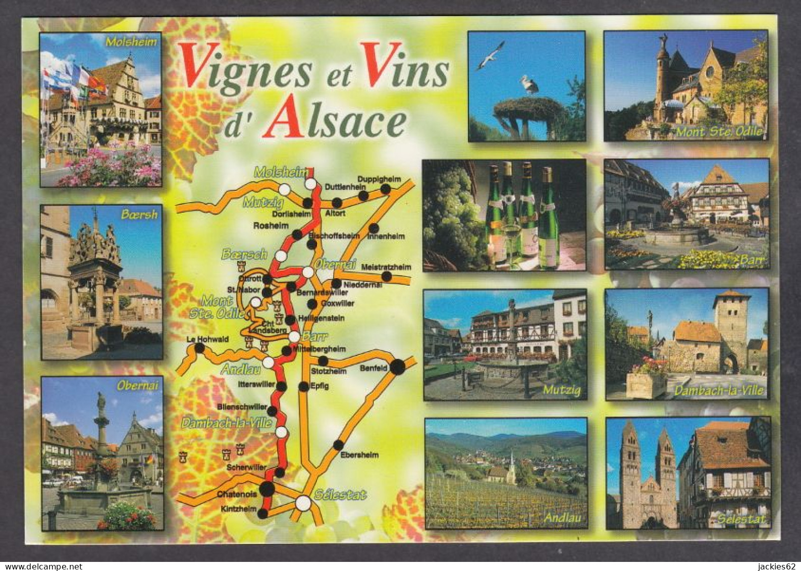 124806/ En Alsace, La Route Des Vins De Molsheim à Sélestat - Alsace