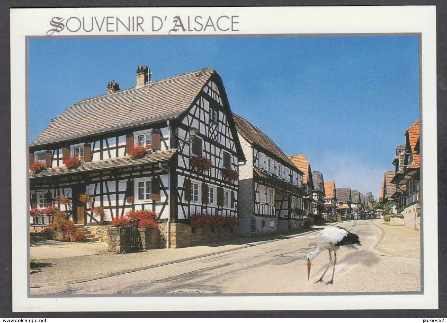 123738/ ALSACE, Une Rue Entière Avec Maisons à Colombages - Alsace