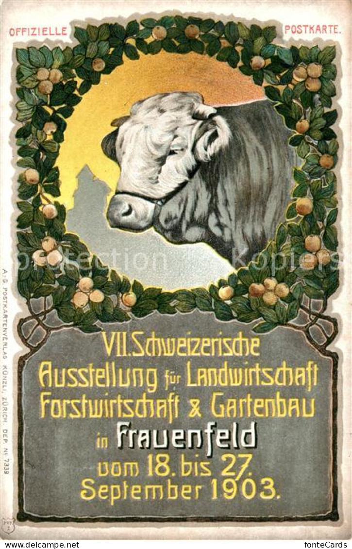 13566990 Frauenfeld VII. Schweizerische Ausstellung Landwirtschaft Forstwirtscha - Autres & Non Classés