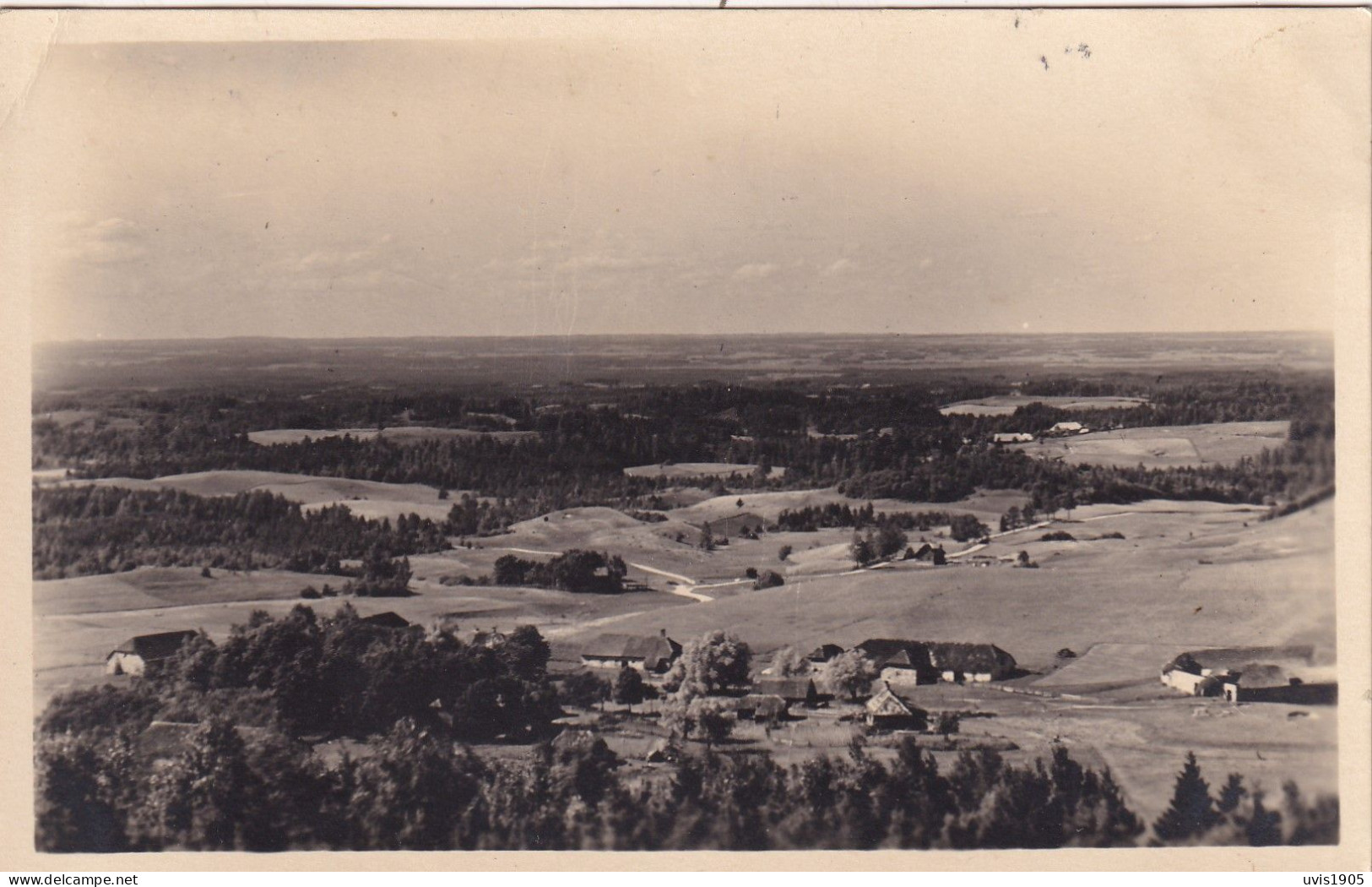 View From Munamagi. - Estonie