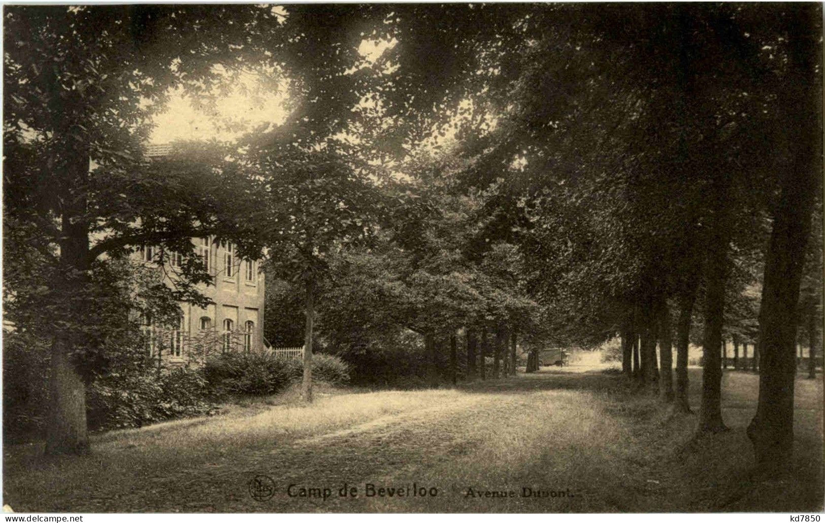 Camp De Berverloo - Avenue Dupont - Leopoldsburg (Beverloo Camp)