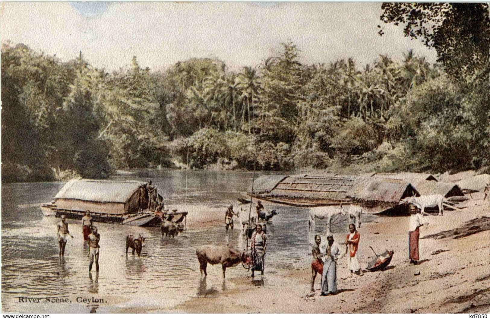 River Scene - Sri Lanka (Ceilán)