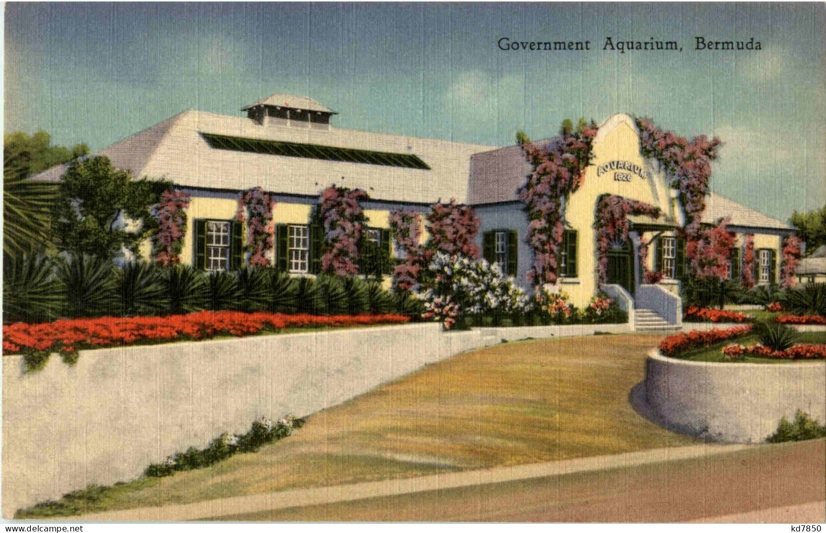 Bermuda - Government Aquarium - Bermudes