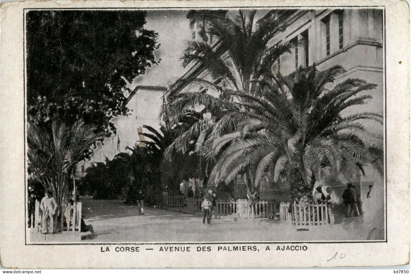 Ajaccio - Avenue Des Palmiers - Ajaccio