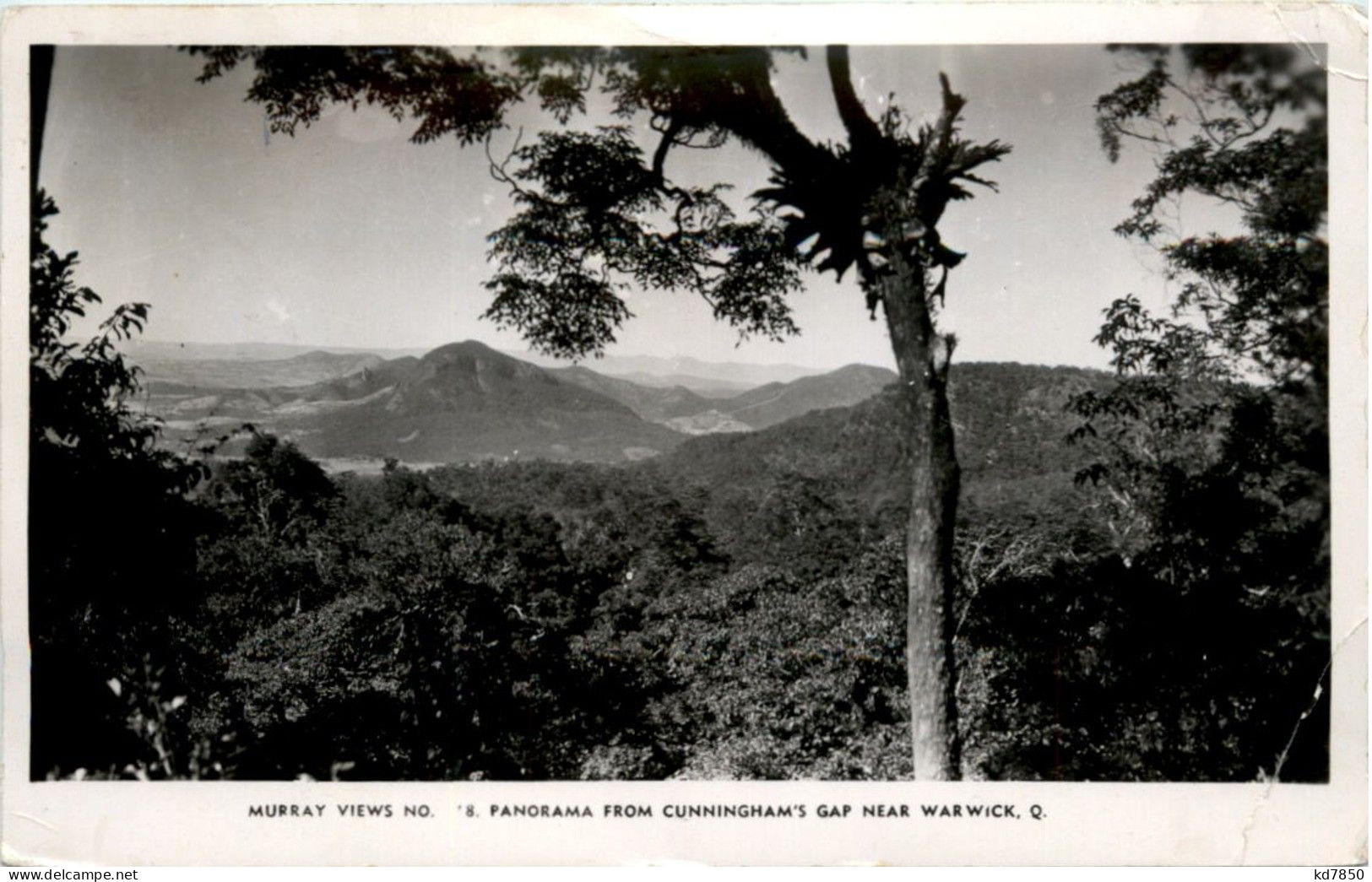 Panorama From Cunningham Gap Near Warwick - Autres & Non Classés