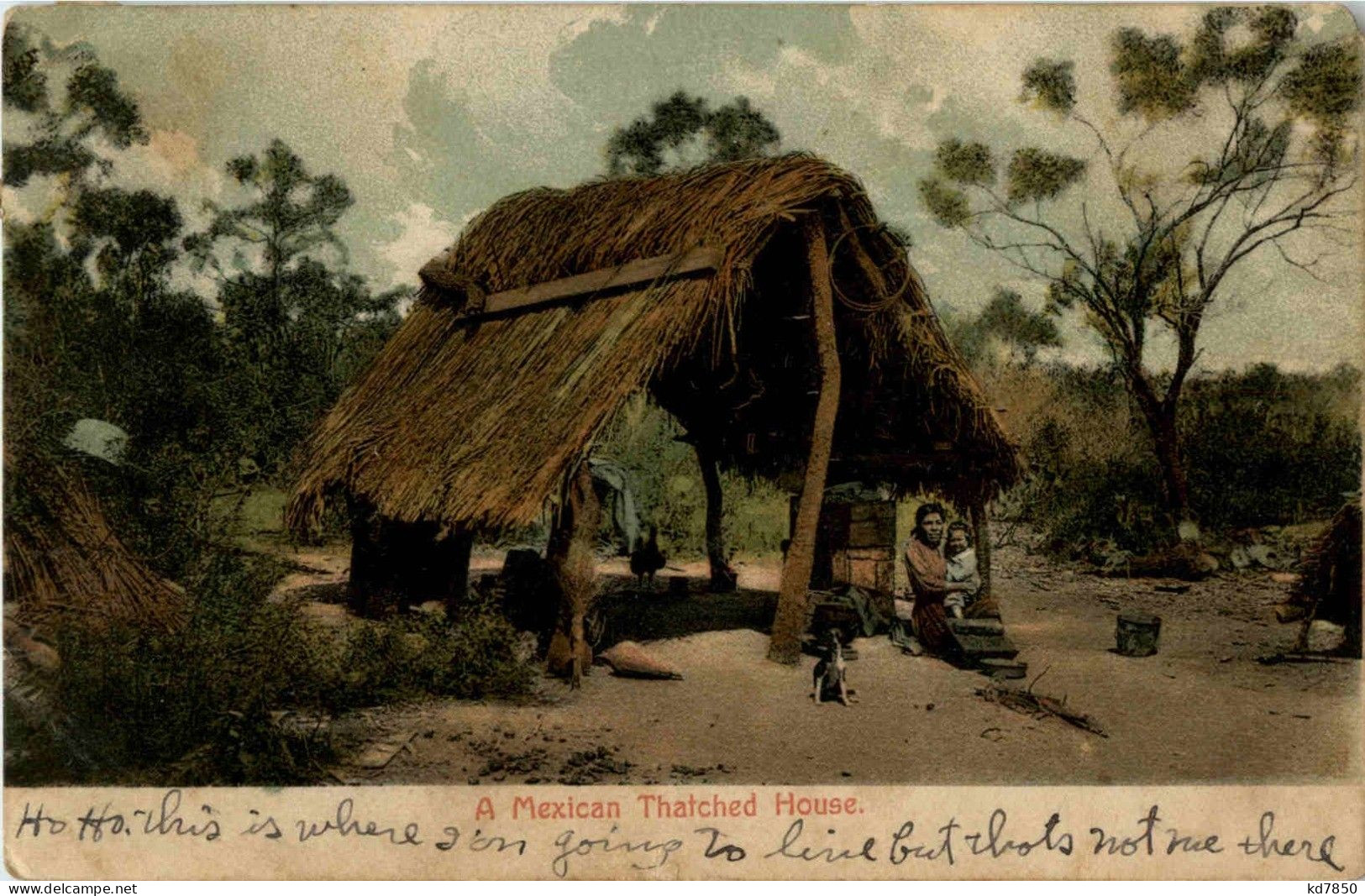 A Mexican Thatched House - Mexico