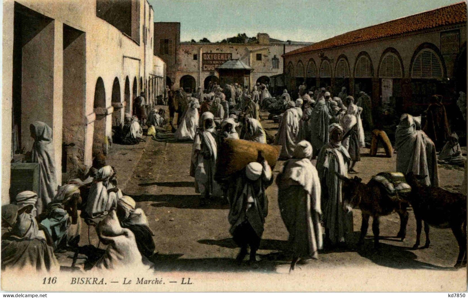 Biskra - Le Marche - Biskra