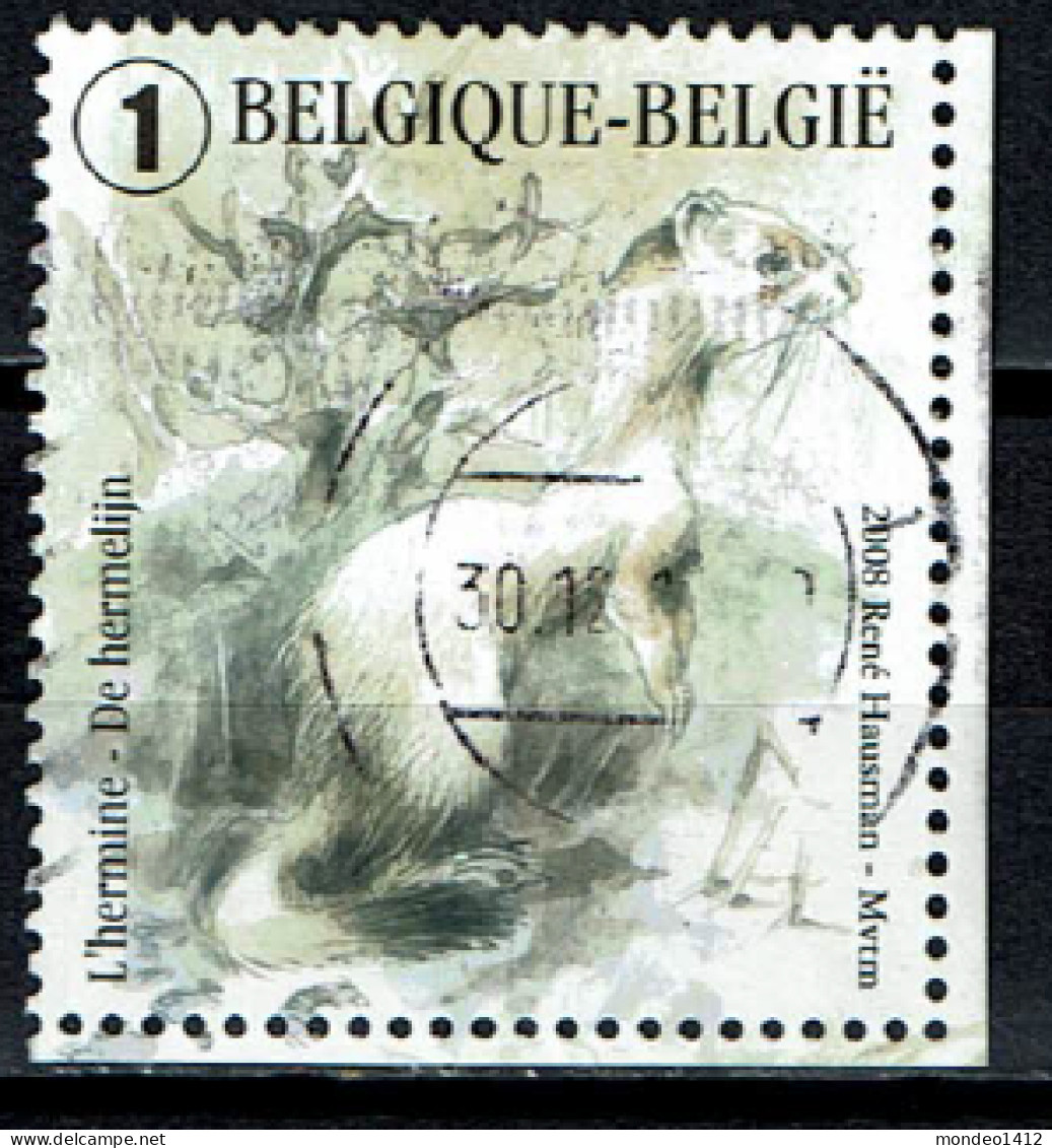 België OBP 3831 - Natuur, Nature, Marterachtigen, Hermelijn - Hermine - Usados