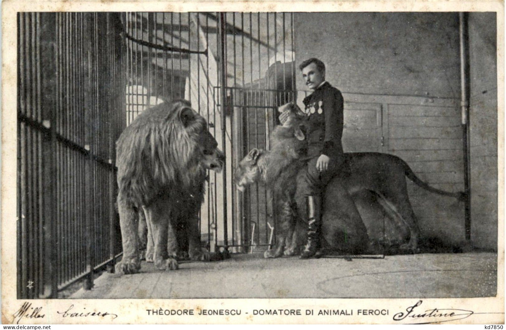 Theodore Jeonescu - Lion - Circus