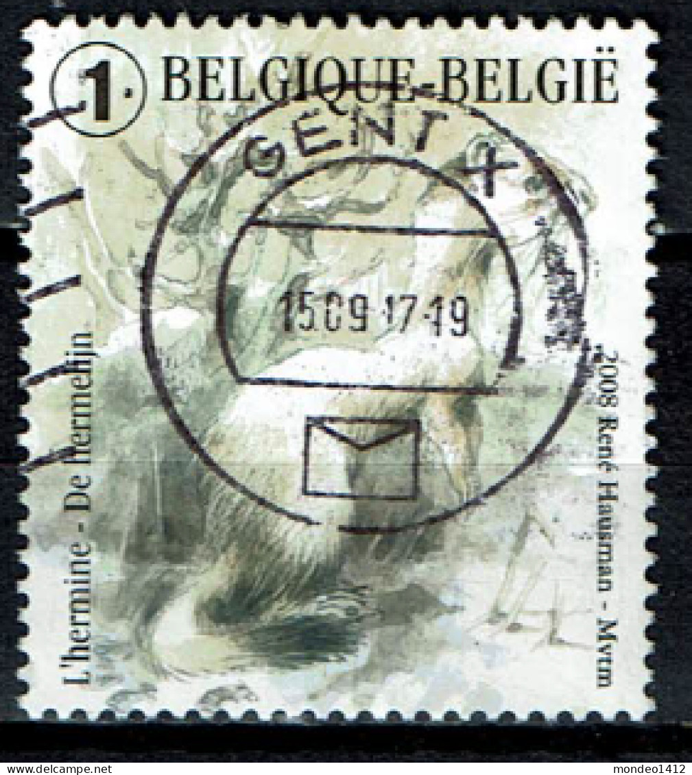 België OBP 3831 - Natuur, Nature, Marterachtigen, Hermelijn - Hermine - Usados