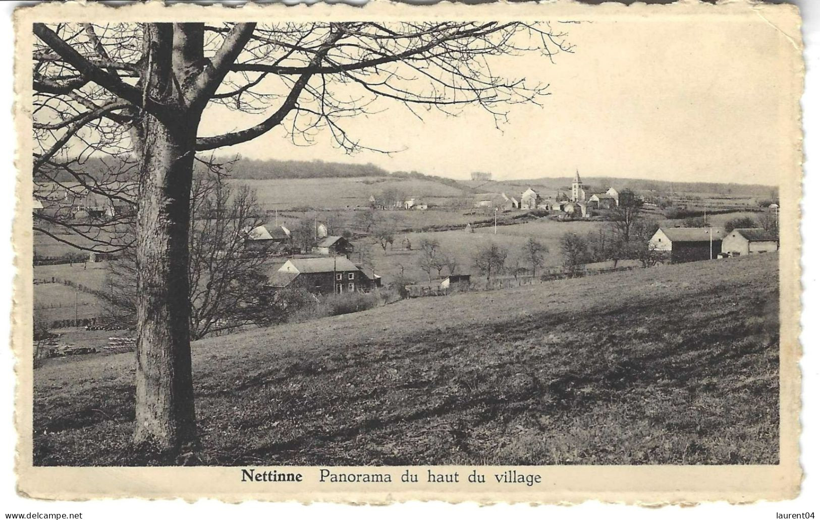 SOMME LEUZE.  NETTINNE. PANORAMA DU HAUT DU VILLAGE. - Somme-Leuze