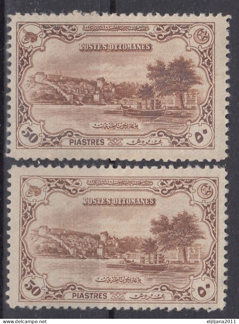 Turkey / Türkei 1920 ⁕ Bosporus 50 Pia. Mi.684 ⁕ 2v MNH & MH - Unused Stamps