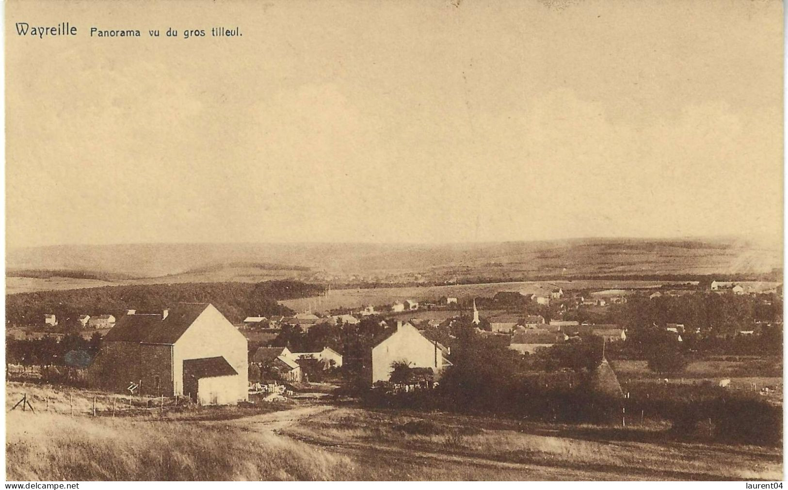 ROCHEFORT. WAVREILLE.   PANORAMA VU DU GROS TILLEUL. - Rochefort