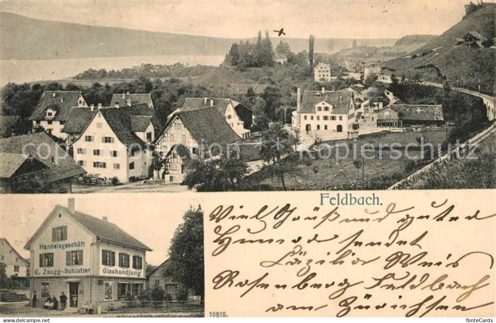 13559863 Feldbach Meilen Panorama Glashandlung Feldbach Meilen - Autres & Non Classés