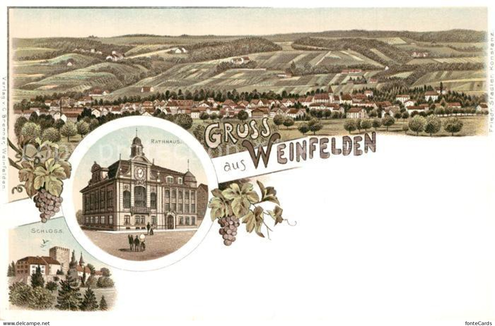 13558768 Weinfelden Rathhaus Schloss Weinfelden - Sonstige & Ohne Zuordnung