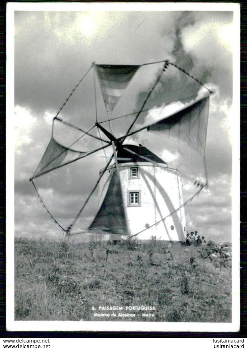 PORTUGAL - MAFRA - MOINHOS - Paisagem Portuguesa -Moinho De Alcainça (Cliché E Edição Carlos Marques Nº 6) Carte Postale - Windmolens