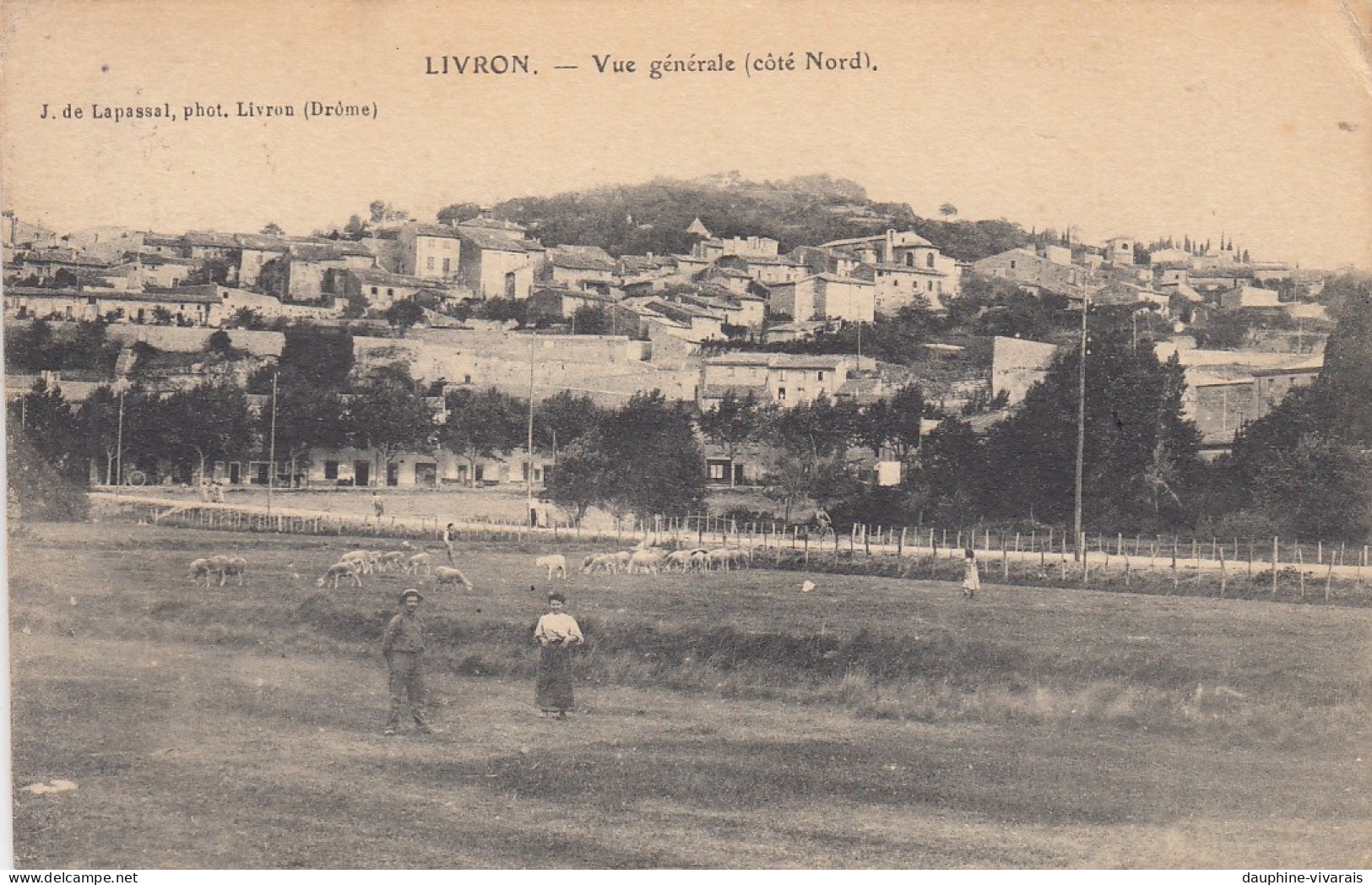 CP LIVRON 26 DROME - VUE GENERALE COTE NORD - Autres & Non Classés