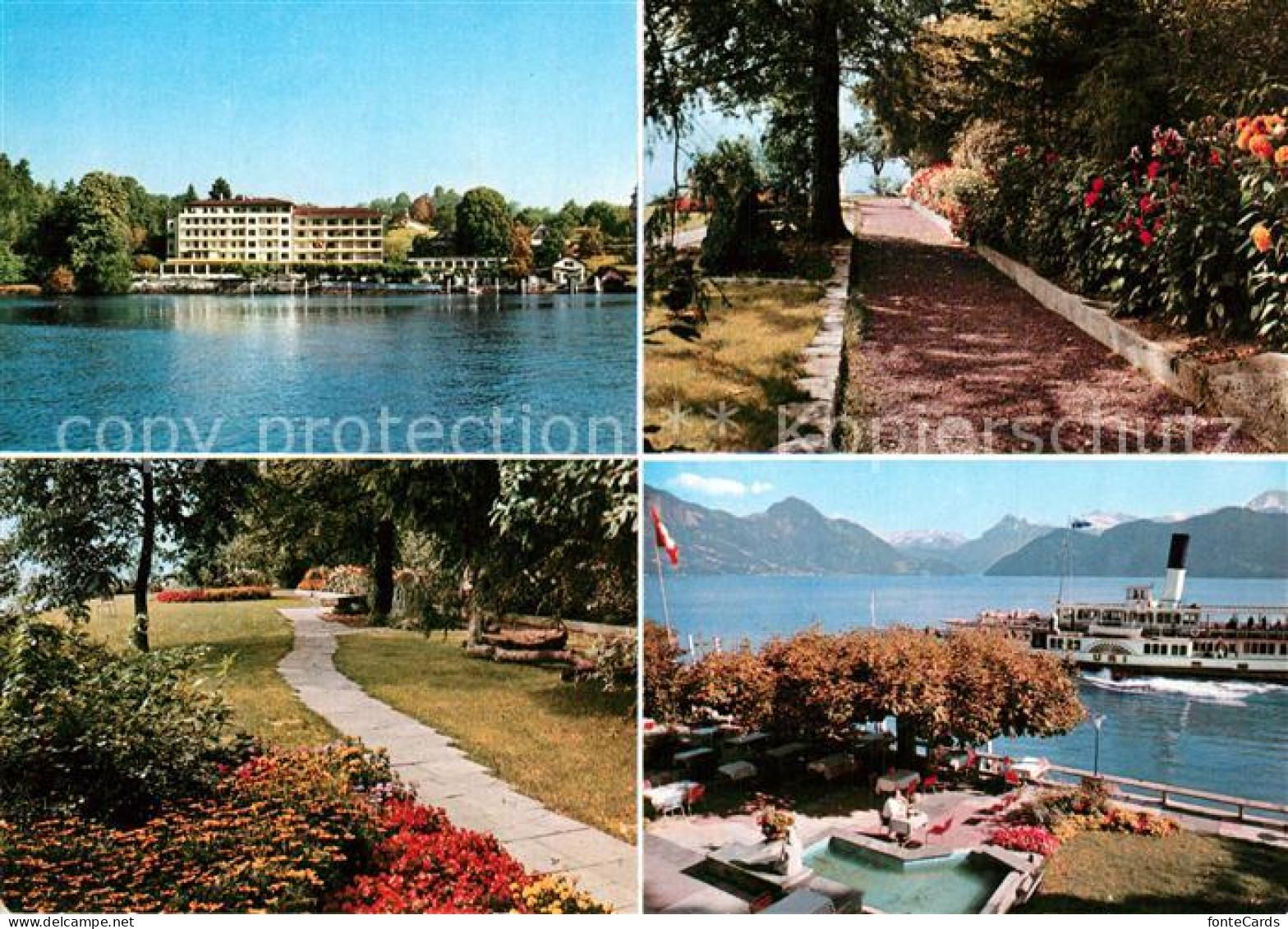 13492582 Vierwaldstaettersee SZ Hotel Herstenstein Park Fahrgastschiff Vierwalds - Sonstige & Ohne Zuordnung