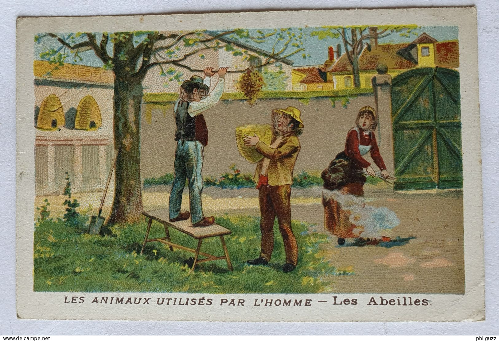 CHROMO LES ANIMAUX UTILISES PAR L'HOMME LES ABEILLES - Otros & Sin Clasificación