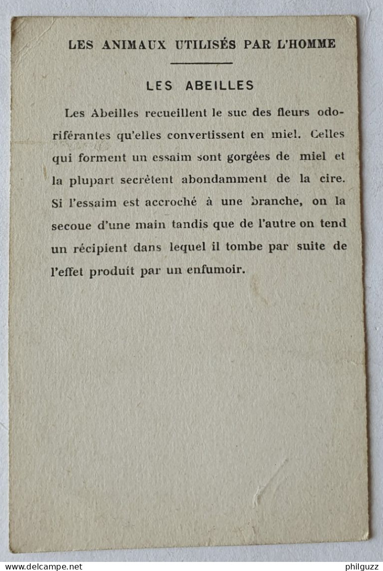 CHROMO LES ANIMAUX UTILISES PAR L'HOMME LES ABEILLES - Otros & Sin Clasificación