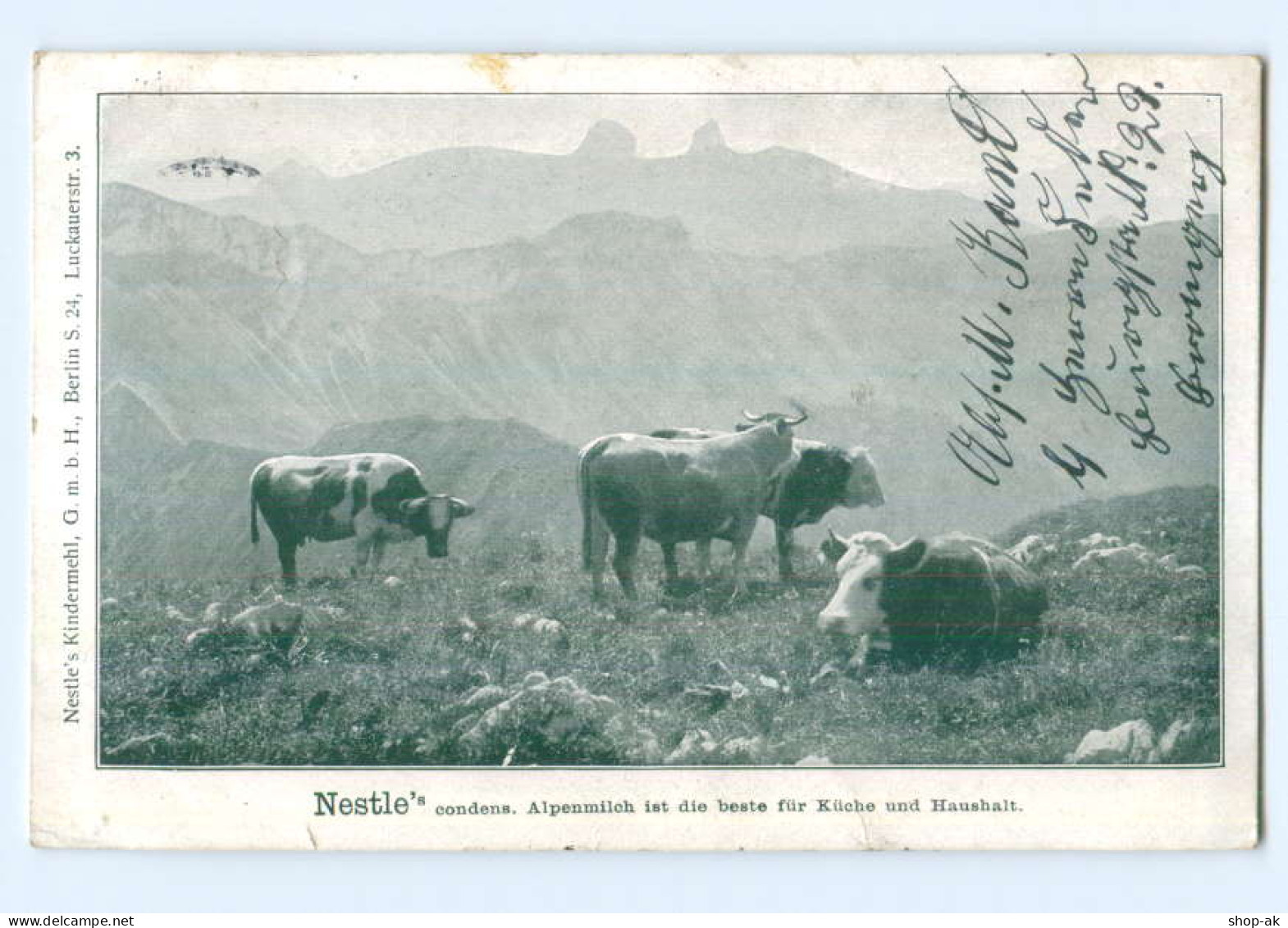 Y6964/ Nestle Alpenmilch   Kühe  Reklame AK 1907 - Werbepostkarten