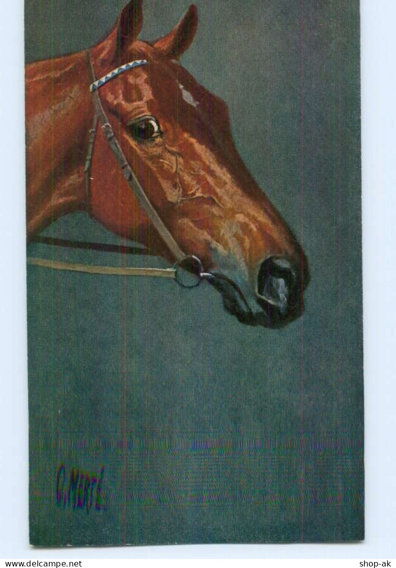 T7330/ Pferde AK  O. Merte  Ca.1912 - Caballos