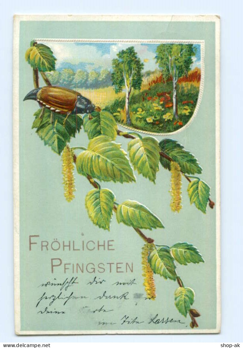 T6011/ Pfingsten Maikäfer 1909 Litho Prägedruck AK - Pinksteren