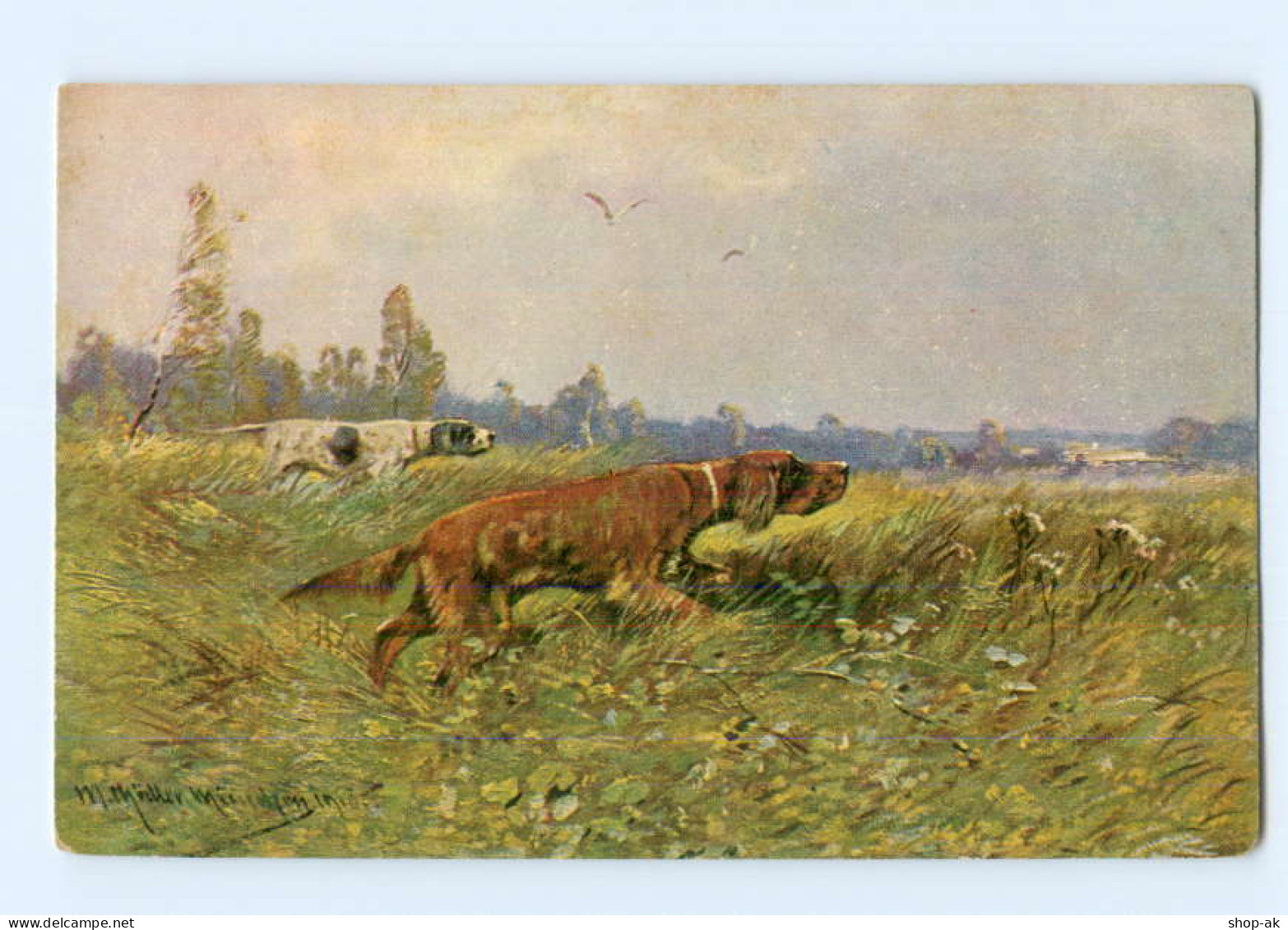 Y5513/ Jagdhunde  Jagd  Künstler AK Ca.1912  - Dogs