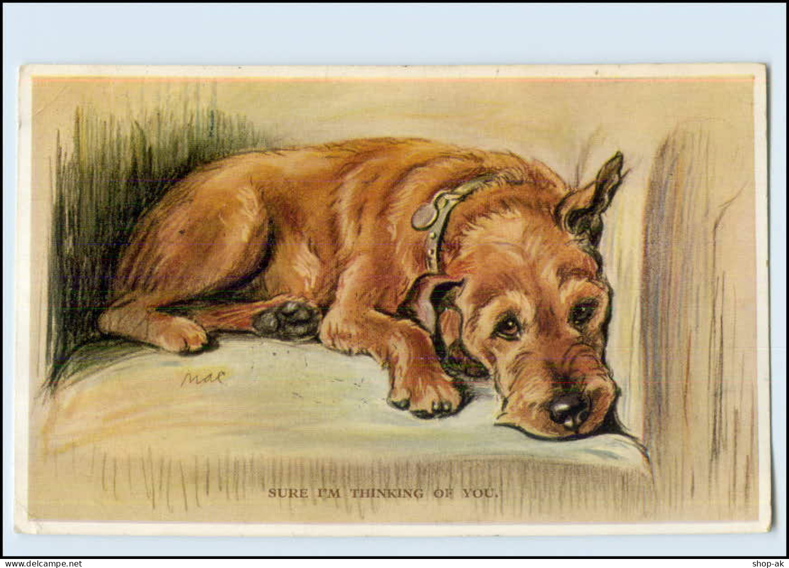 Y4759/ Schöne Hunde AK   Valentine`s Postcard  Ca.1930  - Honden