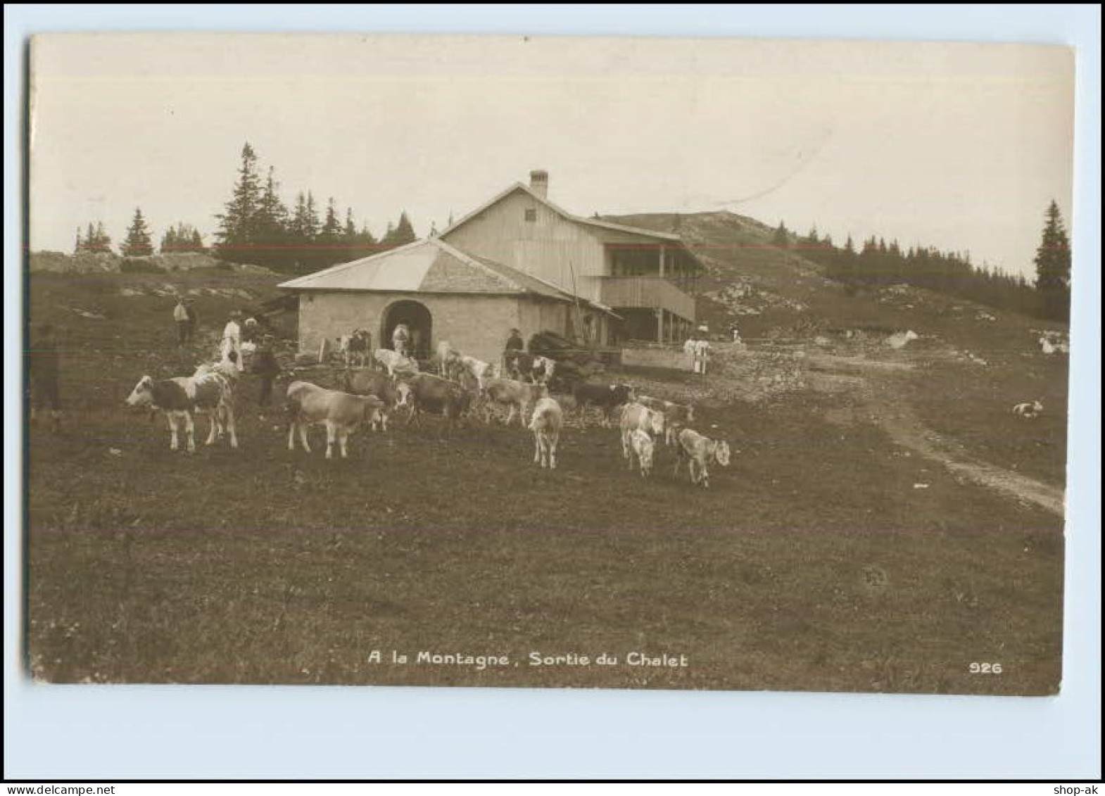 Y4524/ A La Montagne - Sortie Du Chalet Foto AK 1919 Schweiz - Sonstige & Ohne Zuordnung