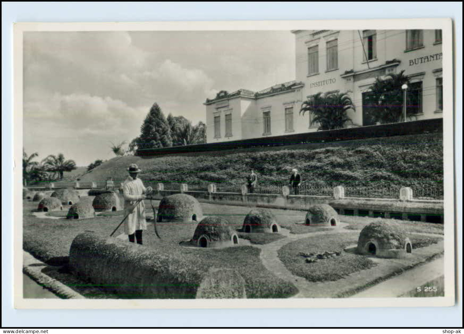 DP152/ Sao Paulo Serpentario Do Butantan Brasilien Brazil Foto AK Ca.1935 - Other & Unclassified