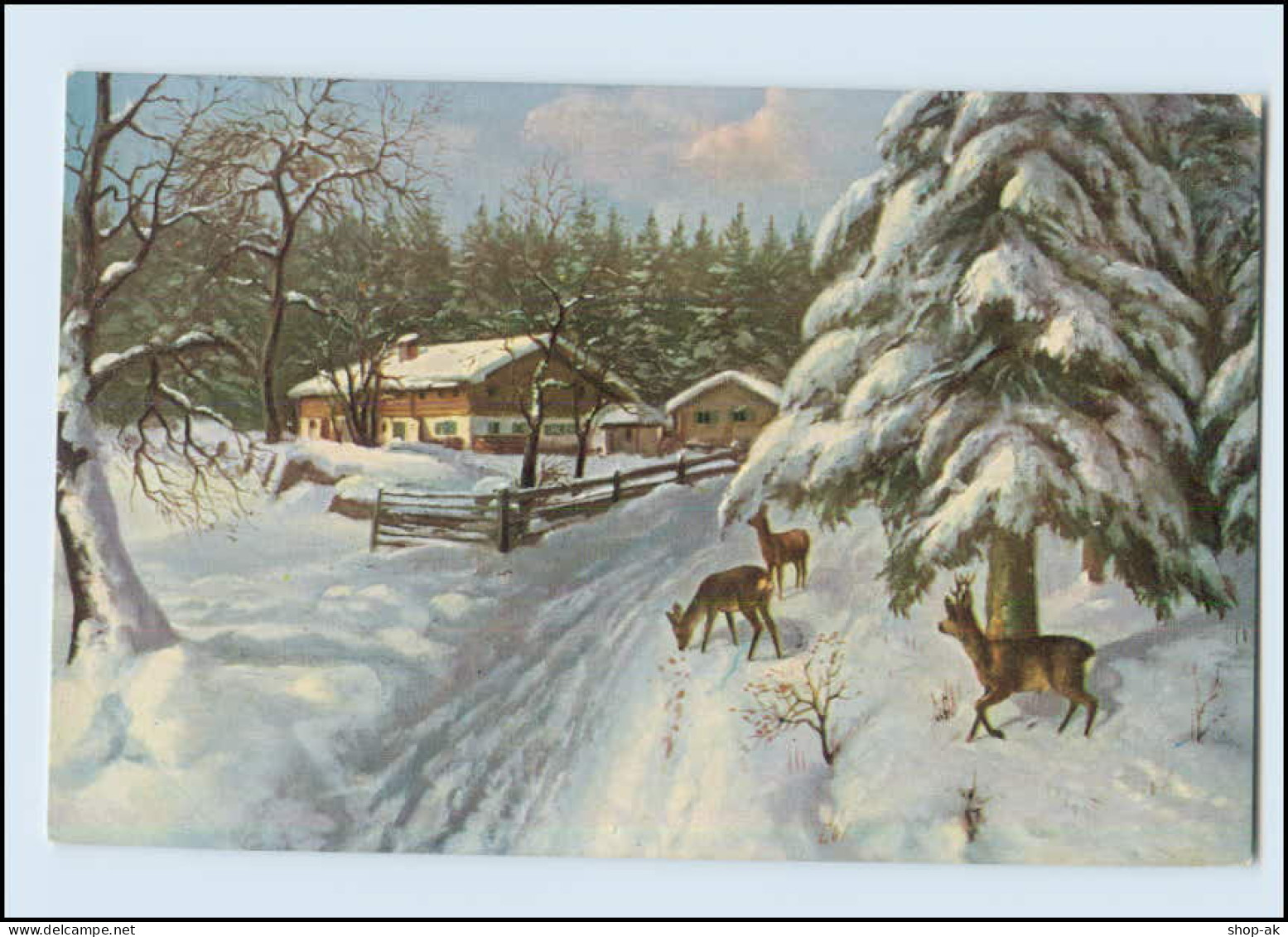 Y4023/ Rehe Im Winter  Verlag: T.S.N. Stroefer  AK Ca.1925 - Sonstige & Ohne Zuordnung