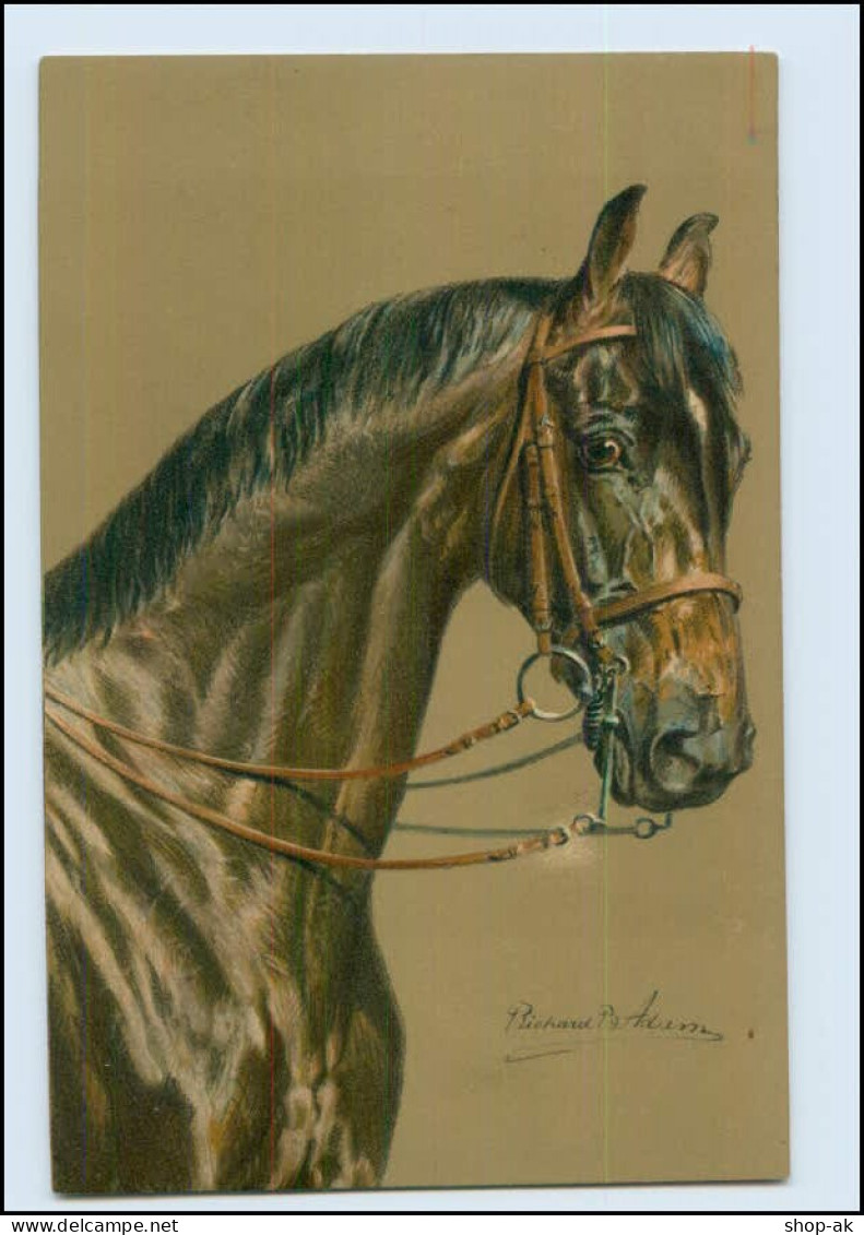 T1311/ Pferd Schöne Litho Meissner & Buch AK 1913 Pferdeköpfe - Paarden