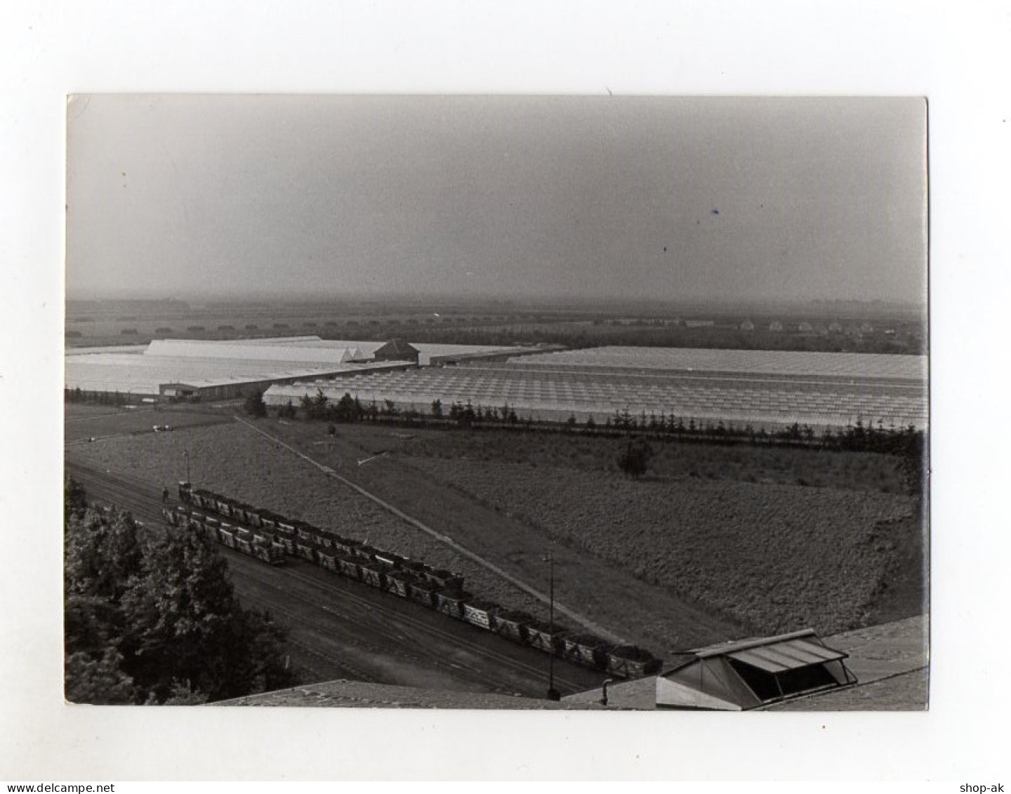 F5878/ Wiesmoor Gewächshäuser Foto  Ca.1950 - Ohne Zuordnung