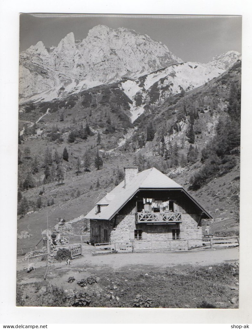 F5771/ Watschiger Alm Mit Gartnerkofel  Kärnten Foto Ca.1955-60  24 X 18 Cm - Ohne Zuordnung