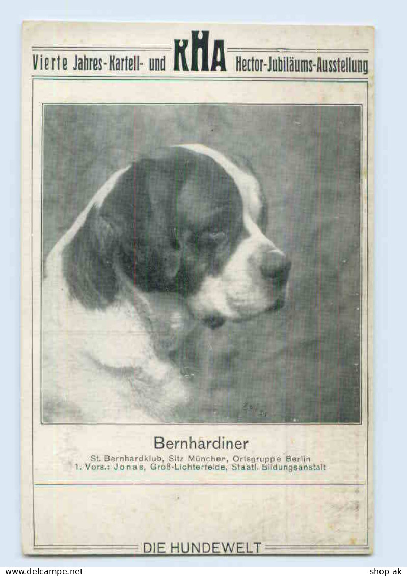 H439/ Bernhardiner Hector-Jubiläums-Ausstellung "Die Hundedwelt" AK Ca.1920 Hund - Chiens