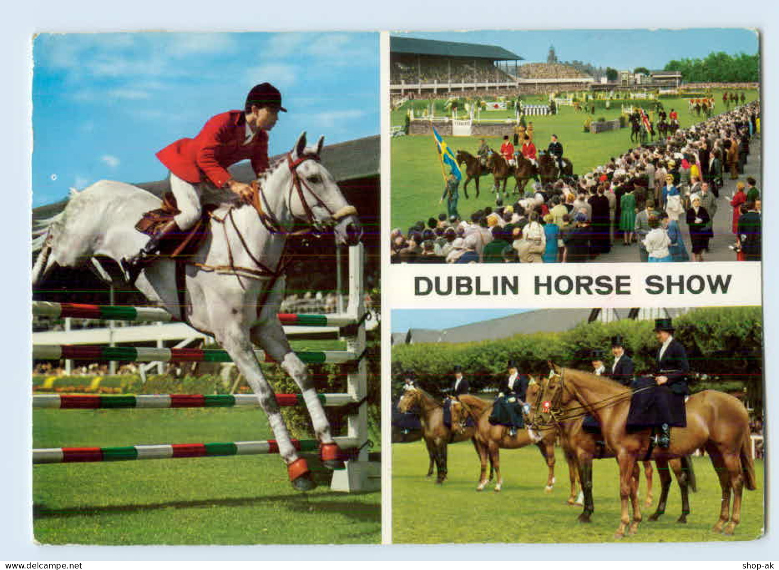 W9Q92/ Dublin Horse Show Pferde Reistport Irland AK 1969 AK - Andere & Zonder Classificatie
