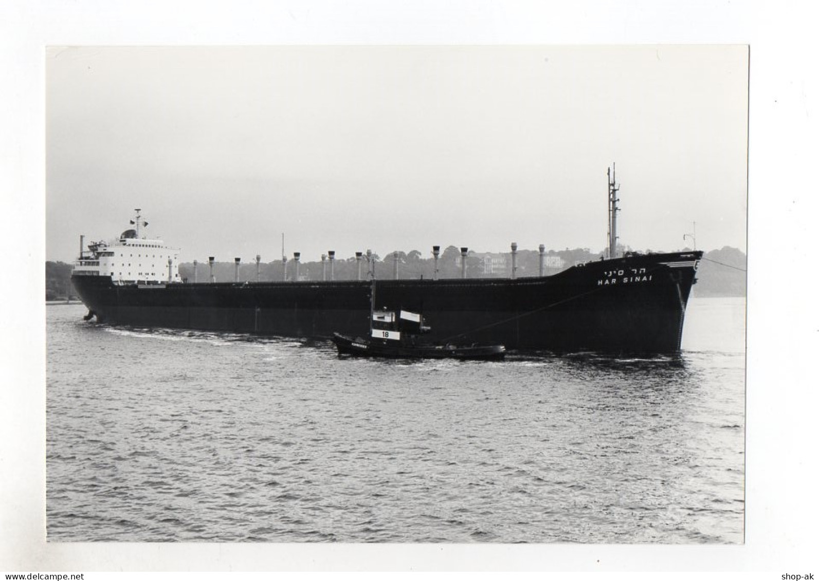 C1274/ Tanker Frachter Hari Sinai  Foto 1960 21,5 X 15,5 Cm Handelsschiff - Koopvaardij